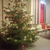 Seniorenweihnachtsfeier 2018